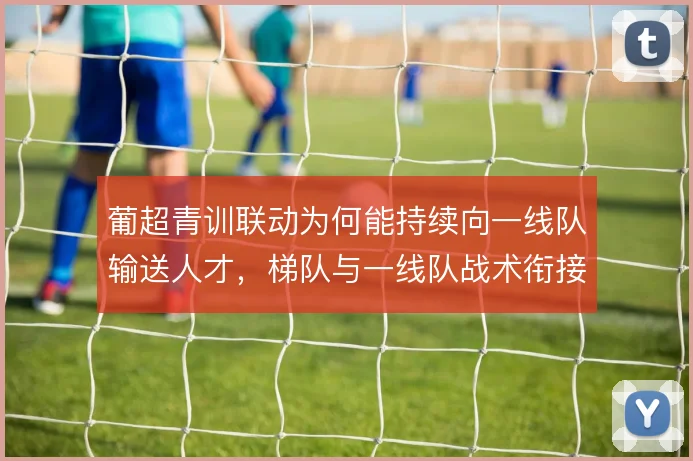 葡超青训联动为何能持续向一线队输送人才，梯队与一线队战术衔接是关键