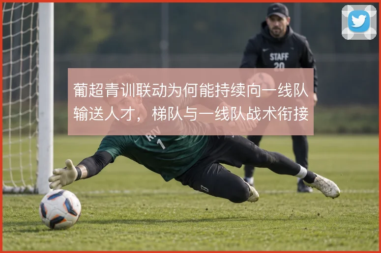 葡超青训联动为何能持续向一线队输送人才，梯队与一线队战术衔接是关键