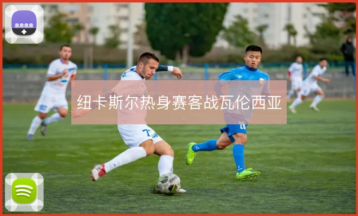 纽卡斯尔热身赛客战瓦伦西亚